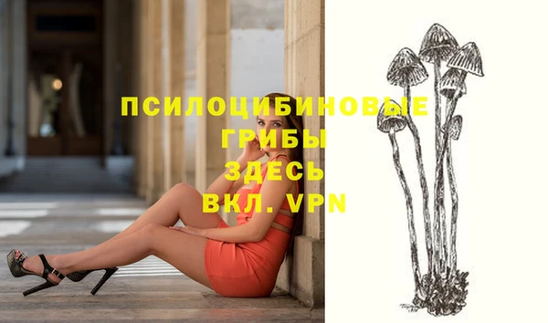 индика Белокуриха