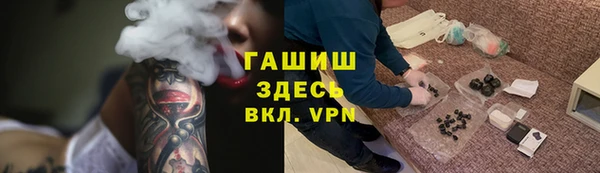 индика Белокуриха