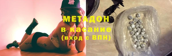 индика Белокуриха