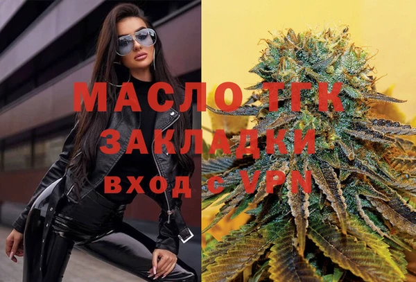 индика Белокуриха