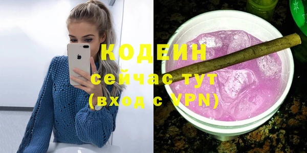 индика Белокуриха