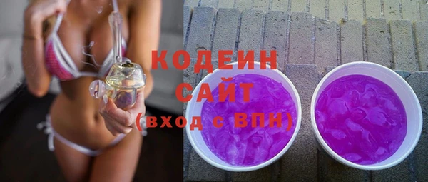 индика Белокуриха