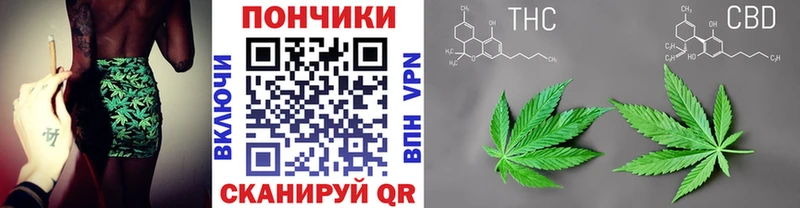 сколько стоит  Жуковка  Бошки Шишки конопля 
